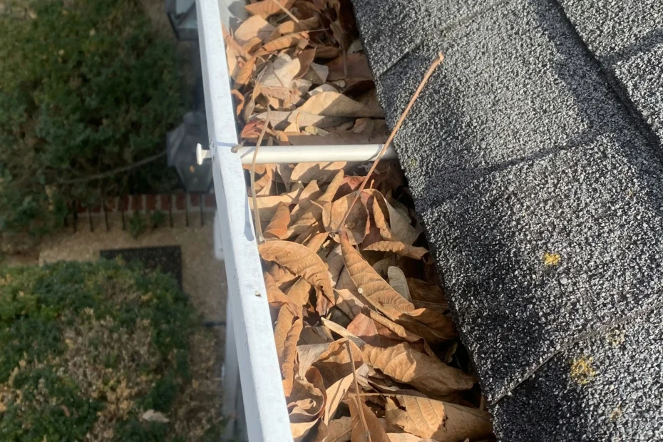 The Branch Gutter Cleaning